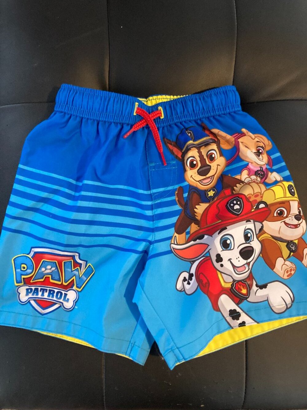 PAW Patrol Swim Trunks – Size 2T